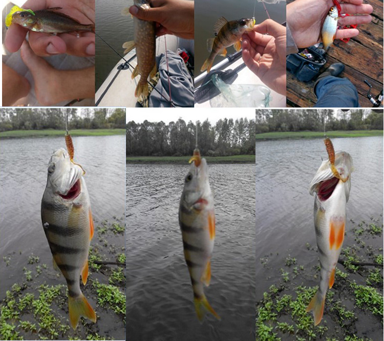 Jyj 5 Stks/zak 1G Jig Haak Met - Fishing Lure Soft Plastic recensie en prijs